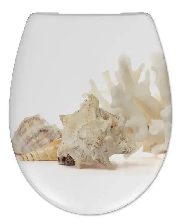 Mueller Toza White Shells softclose toiletzitting met Quick-Release Alleen Vandaag