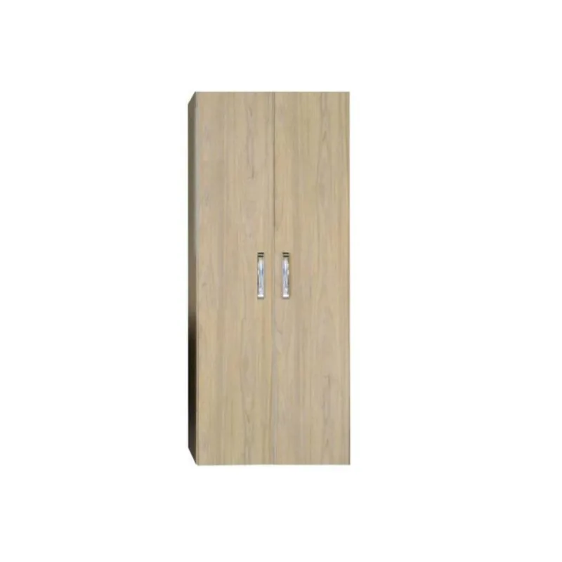 Veilige Betaling Kolomkast Dubbel Sanicare Soft-Closing Deuren Chromen Greep 160x67x32 cm Antraciet